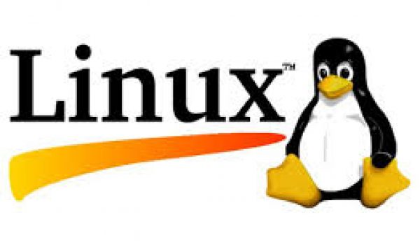 linux